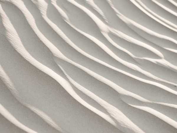 The Art of&nbsp;Connection